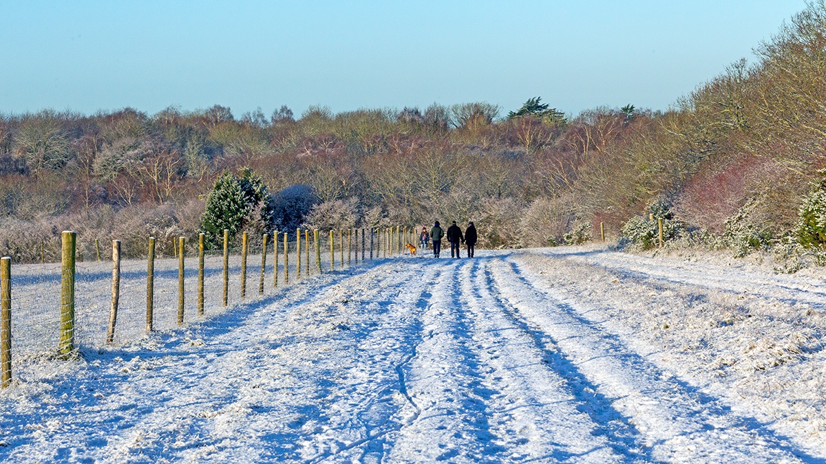 A snowy morning on Banstead Downs