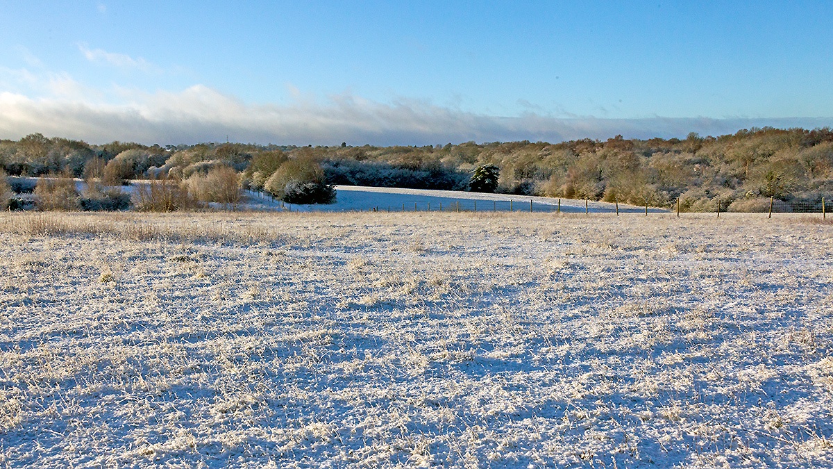 A snowy morning on Banstead Downs